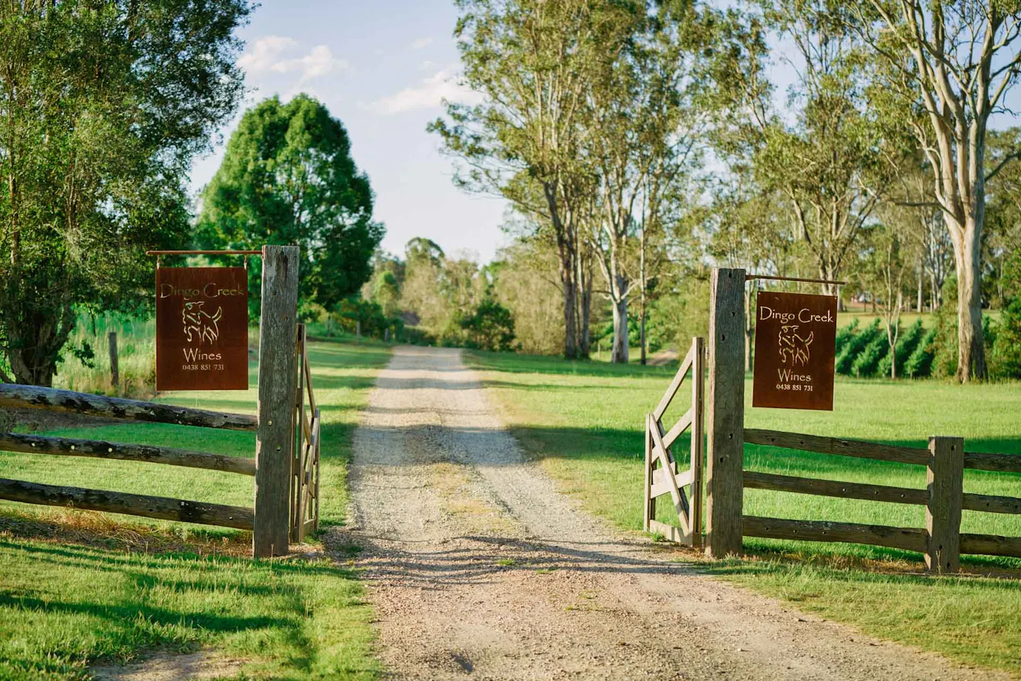 dingo creek vinyardrd