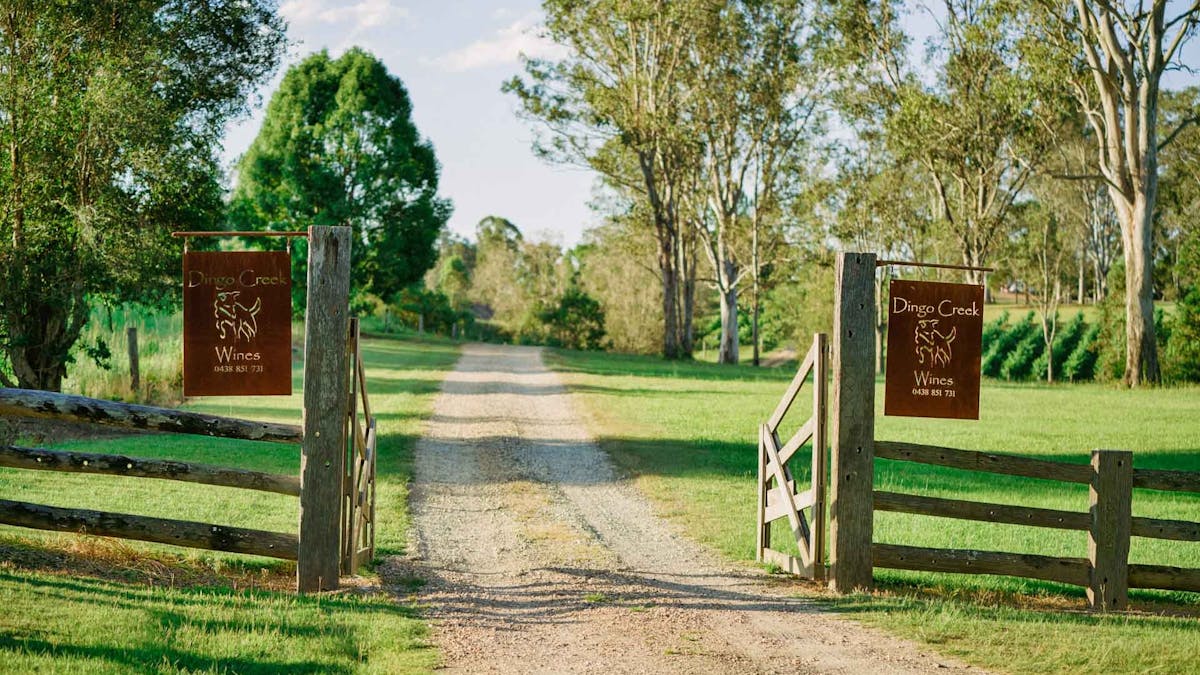 dingo creek vinyardrd