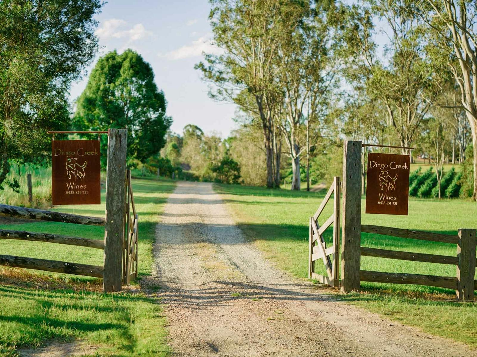 dingo creek vinyardrd dingo creek vinyardrd