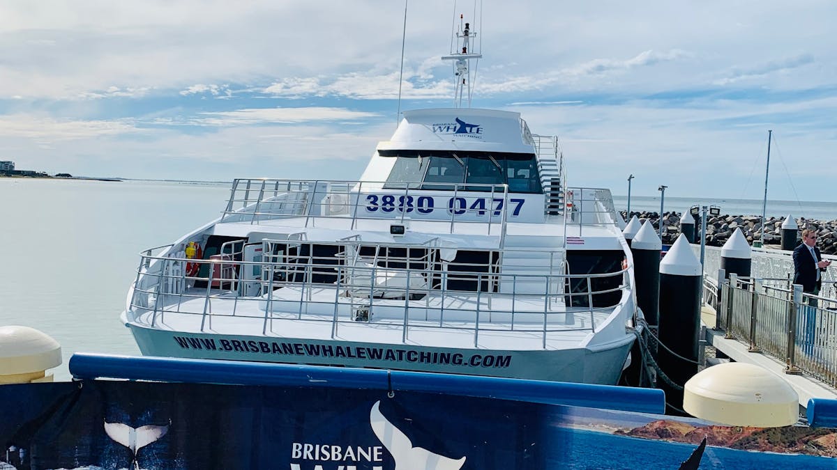 Moreton Bay Marine Watch
