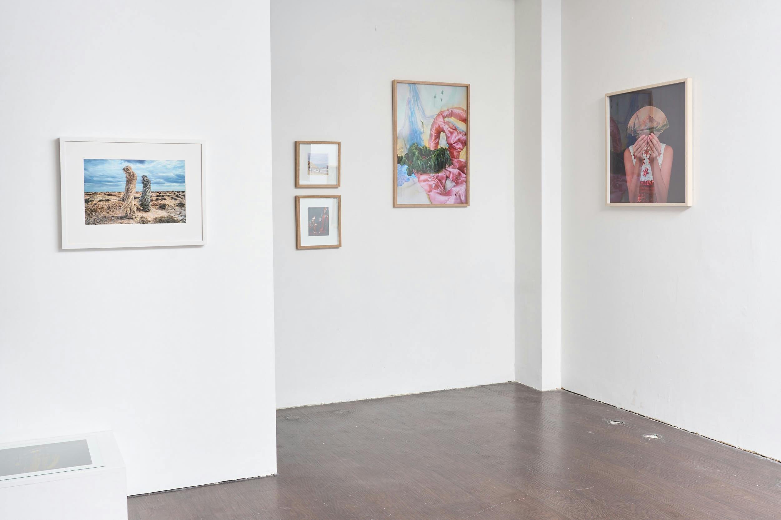 Installation shot of Prosopon
