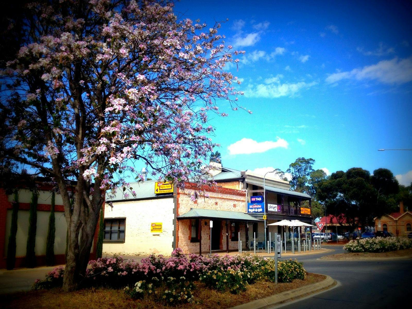 The Criterion Tavern