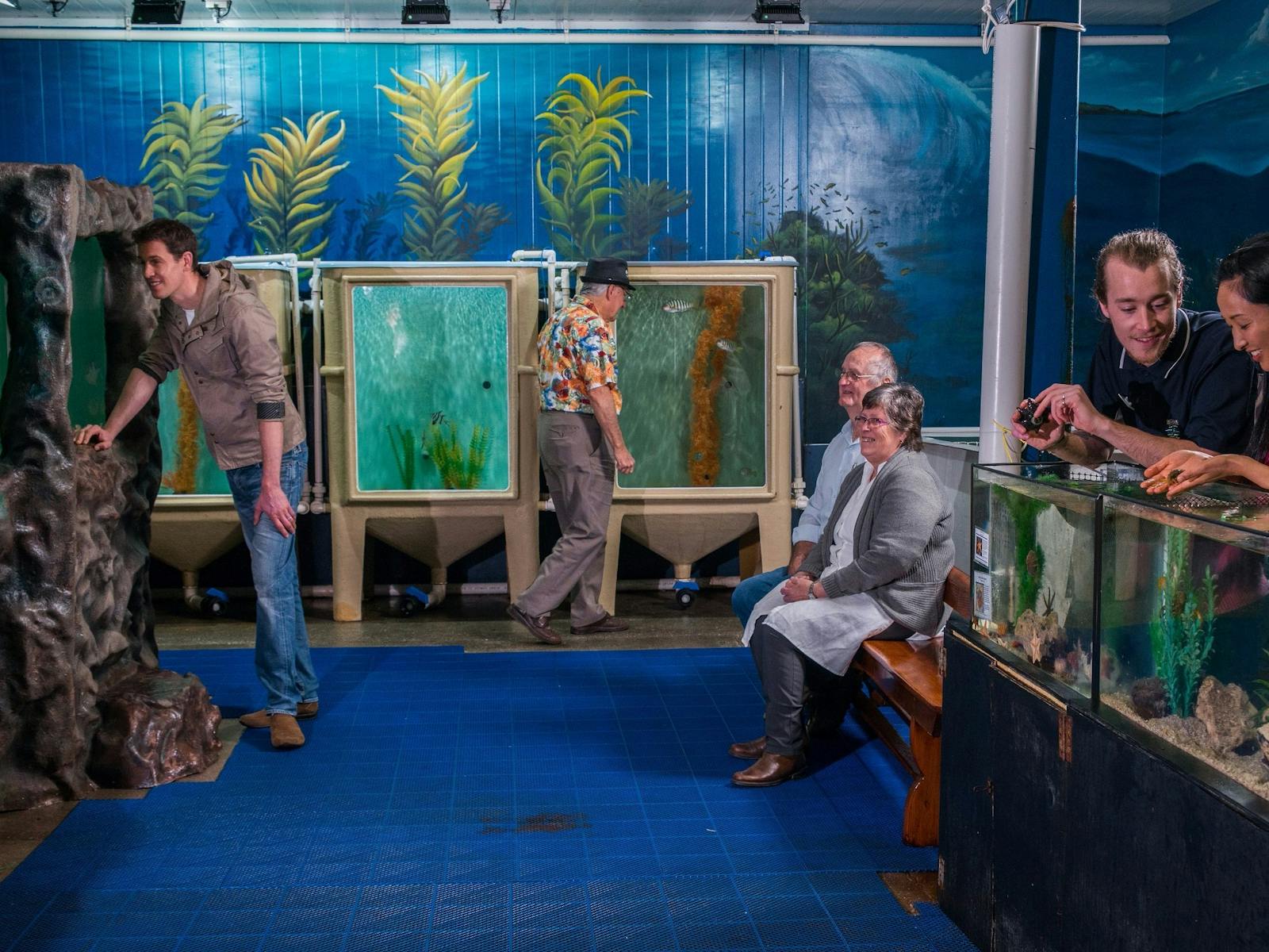 Guests enjoying the range of fish in the main room of the Southern Ocean Aquarium