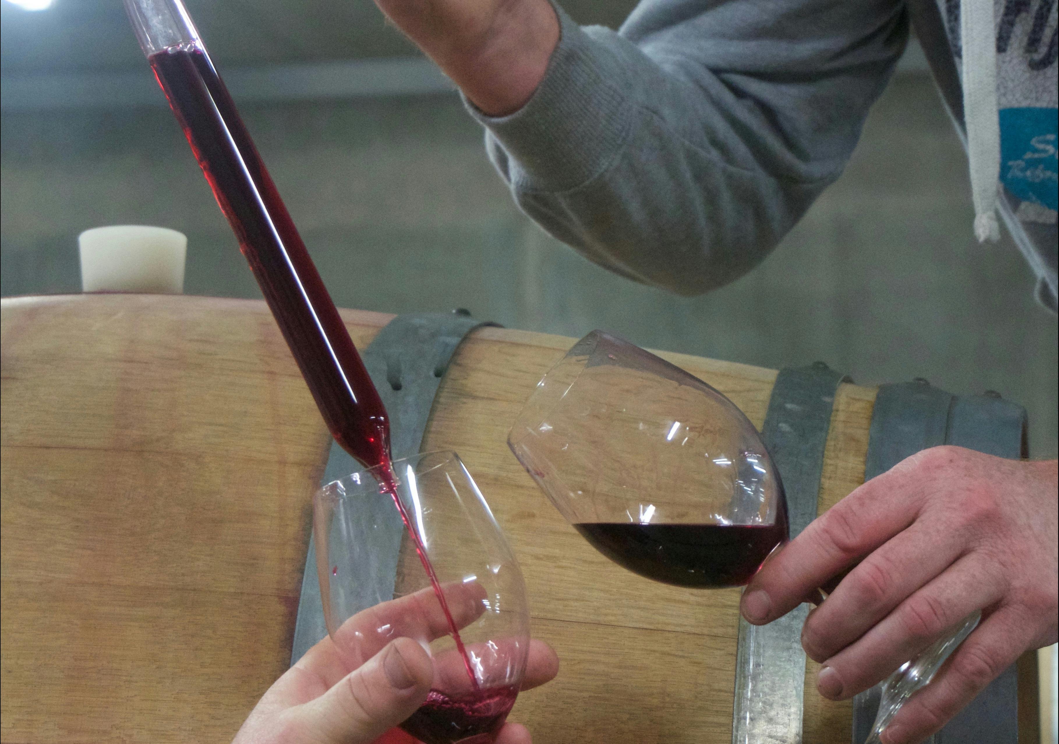 Barrel Sample at Pimpernel
