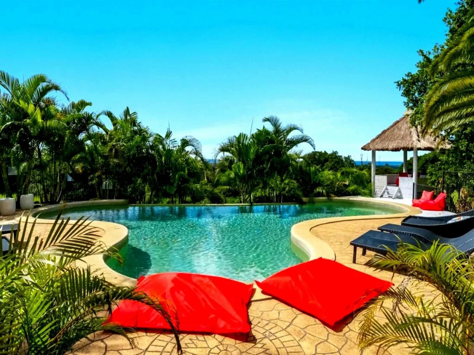 Solar heated swimming pool