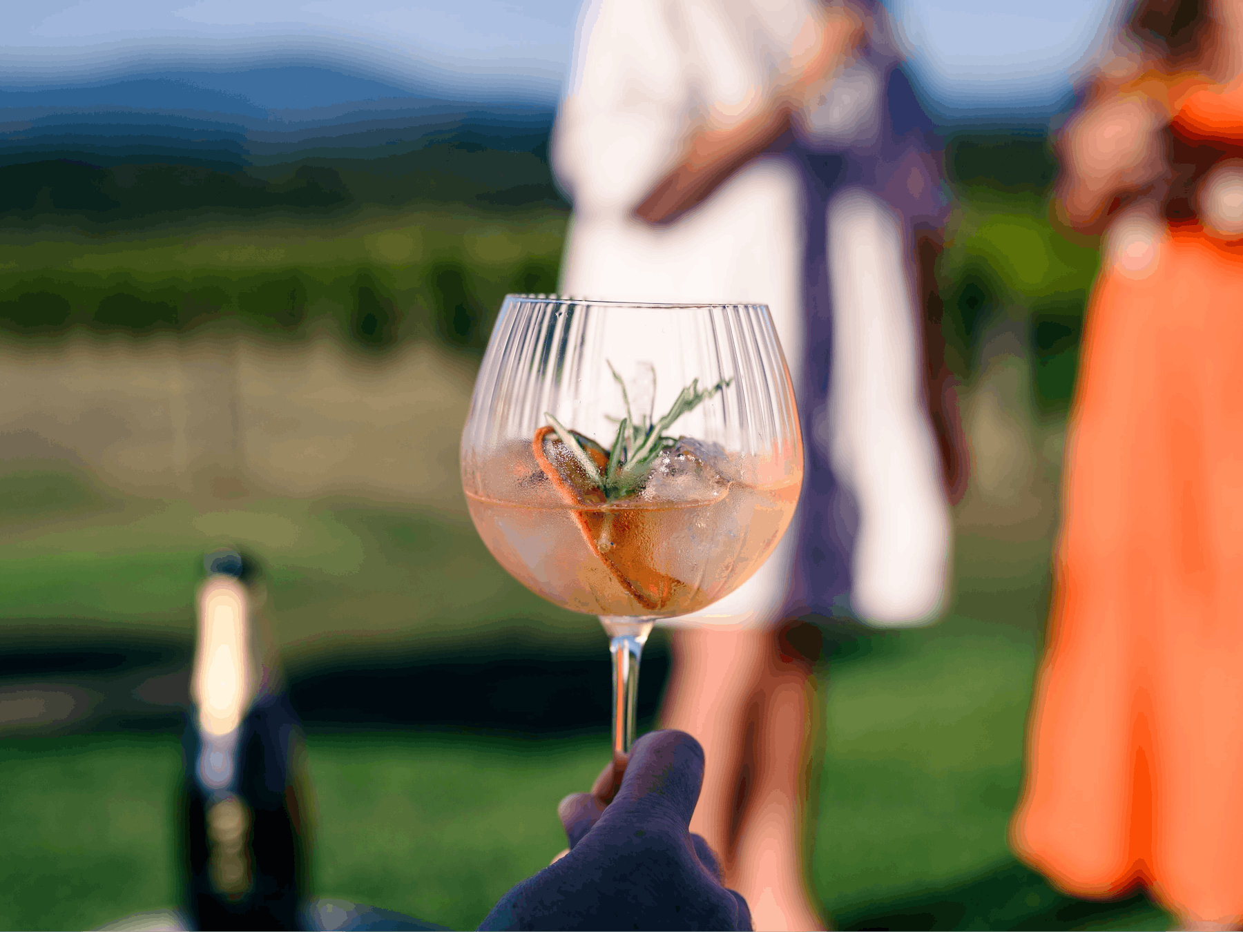 Glass of wine at Domaine Chandon Yarra Valley Wine Tours