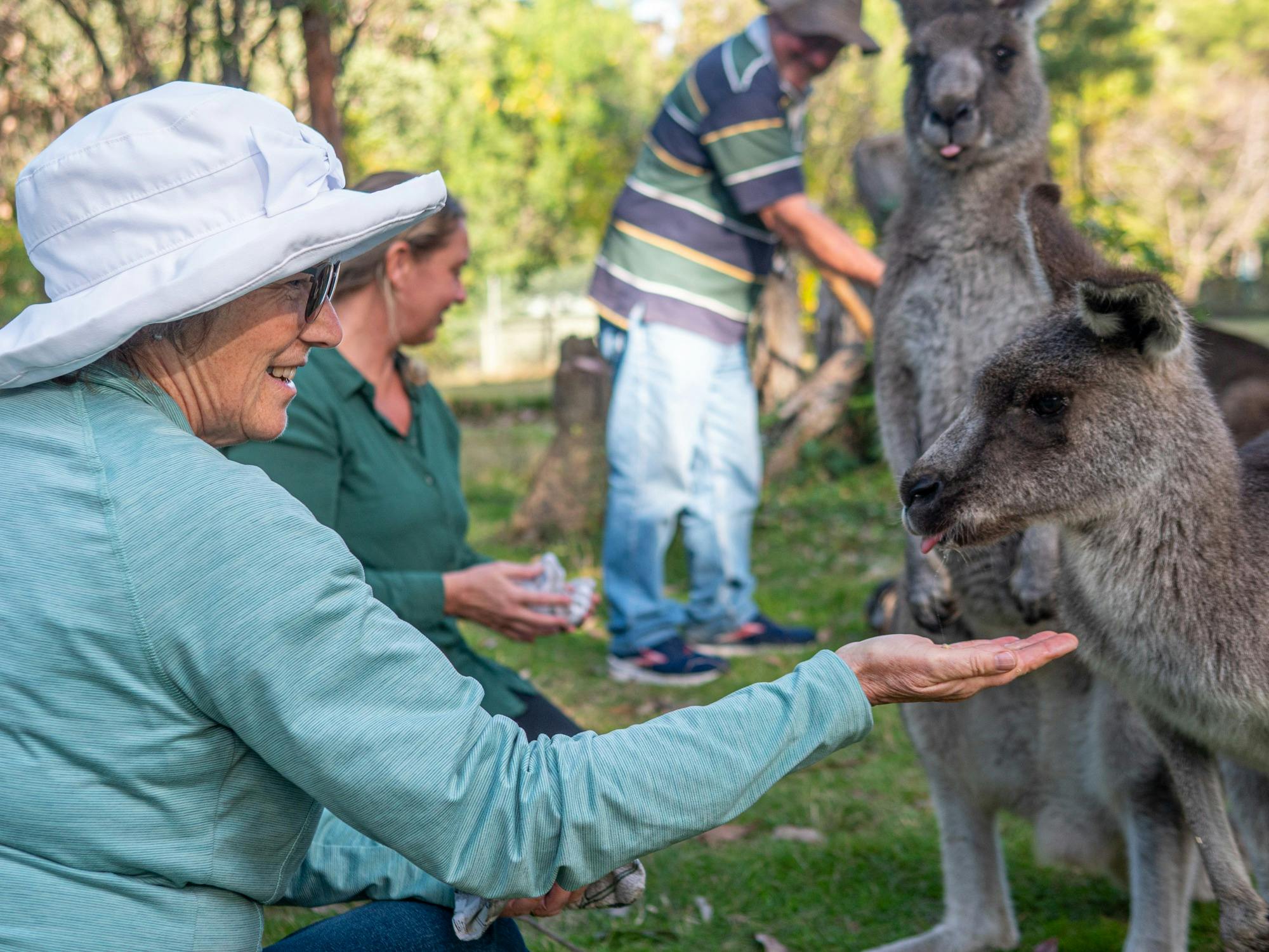 Eden to Merimbula Tour: Wetlands, Wildlife & Coastline
