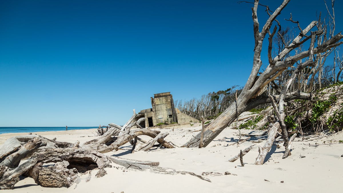 Gday adventure tours, Fort Bribie 4x4 tour
