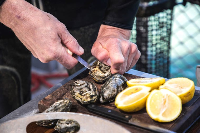 Wonders & Treats on the Great Australian Bight