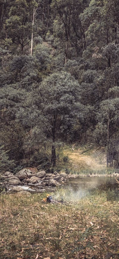 'Bush Tea' - Captured beside Rocky Valley Creek, in Victorian High Country.