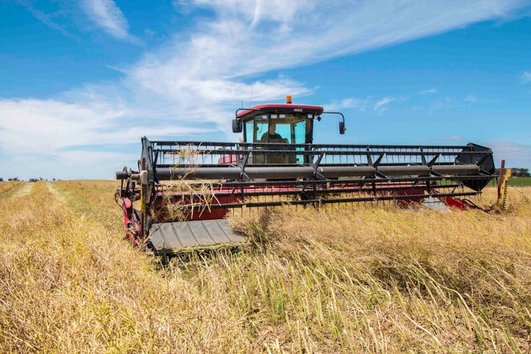 Coorong Tours