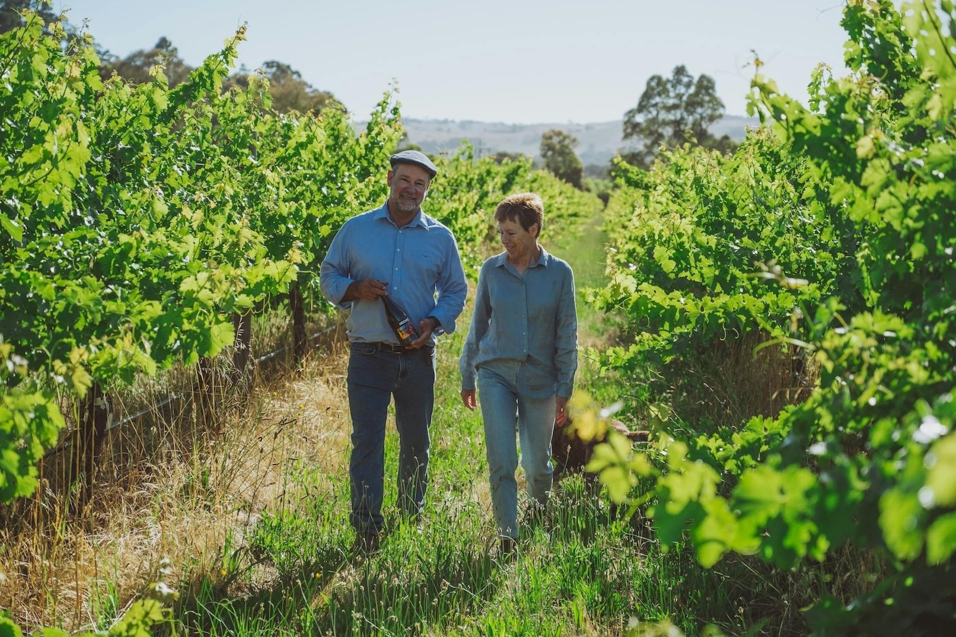 SummerVines:  Vineyard Experience