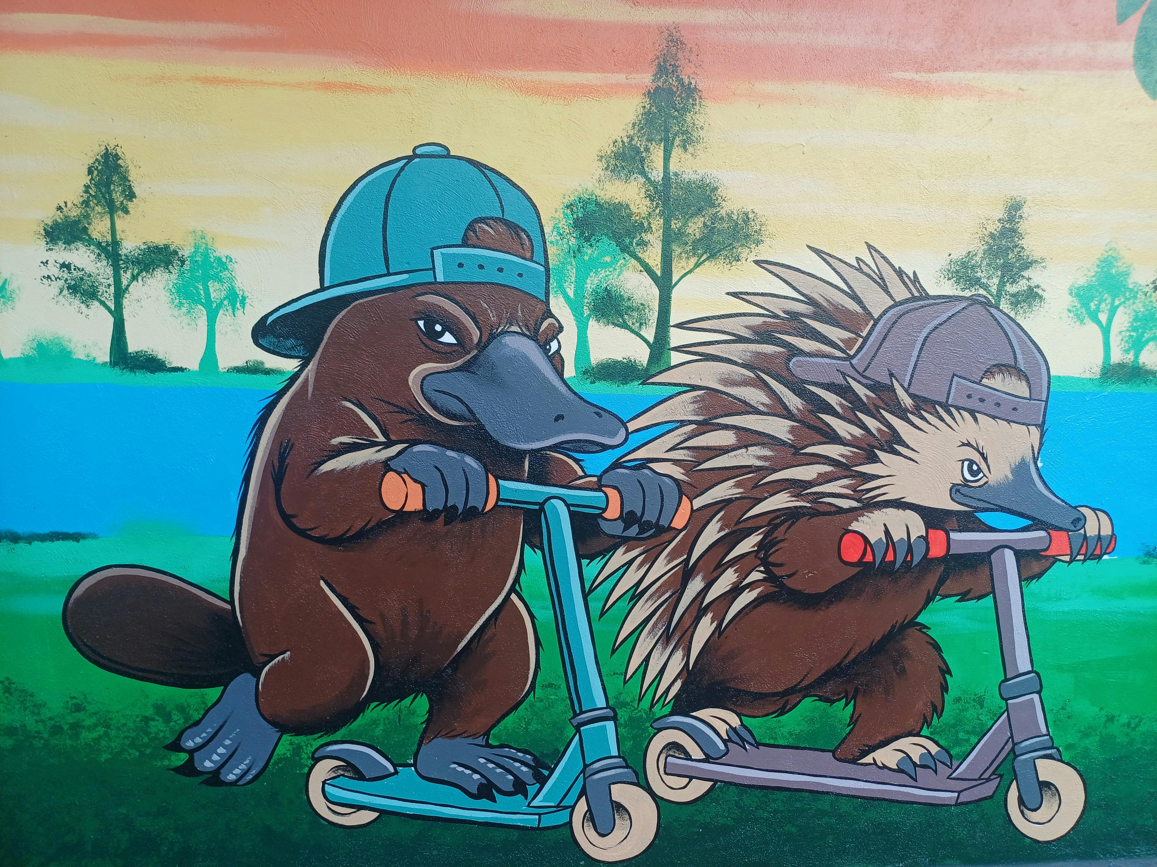 Corowa Skate Park Mural