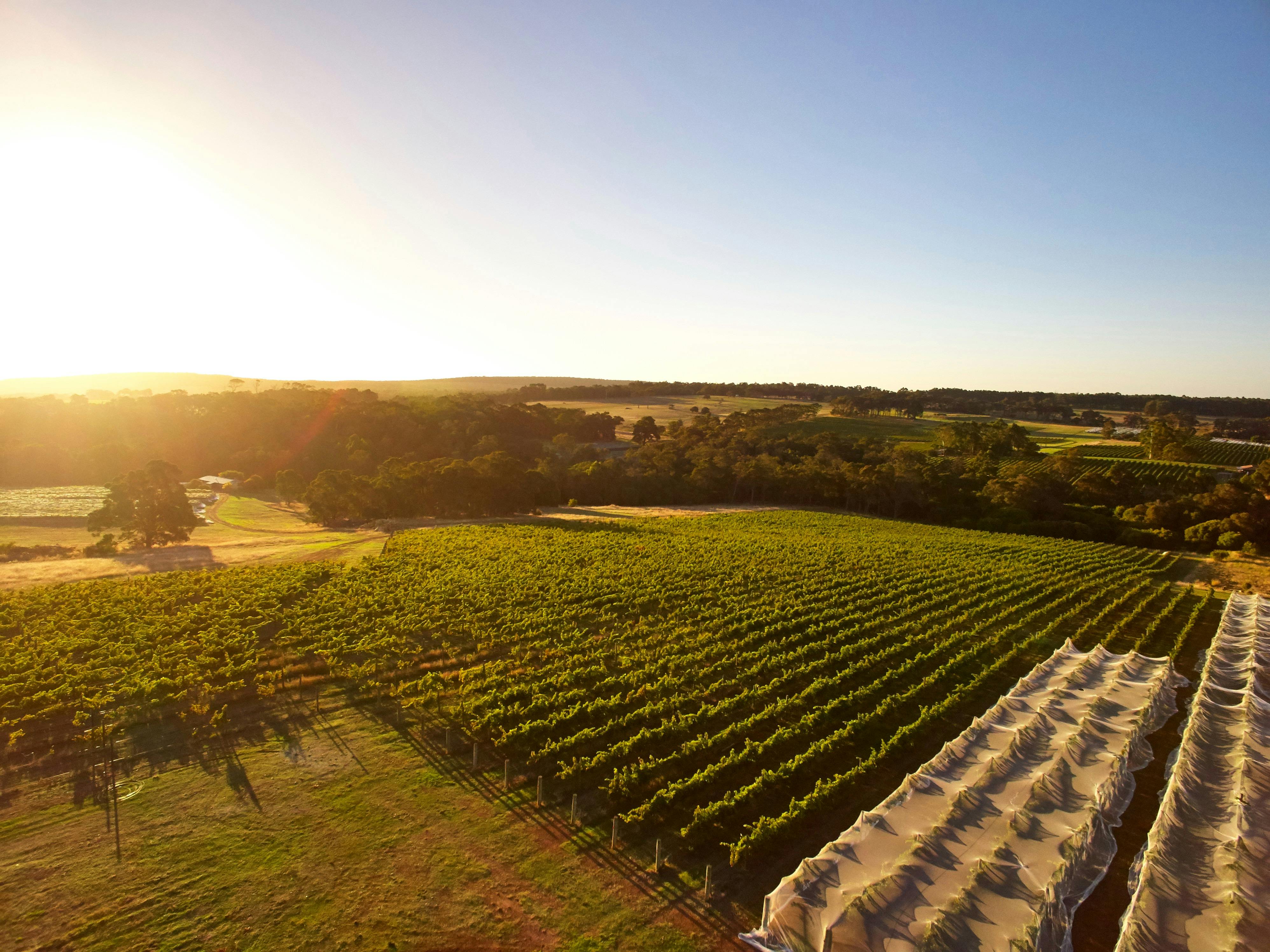 Up Close and Local Tours - Margaret River
