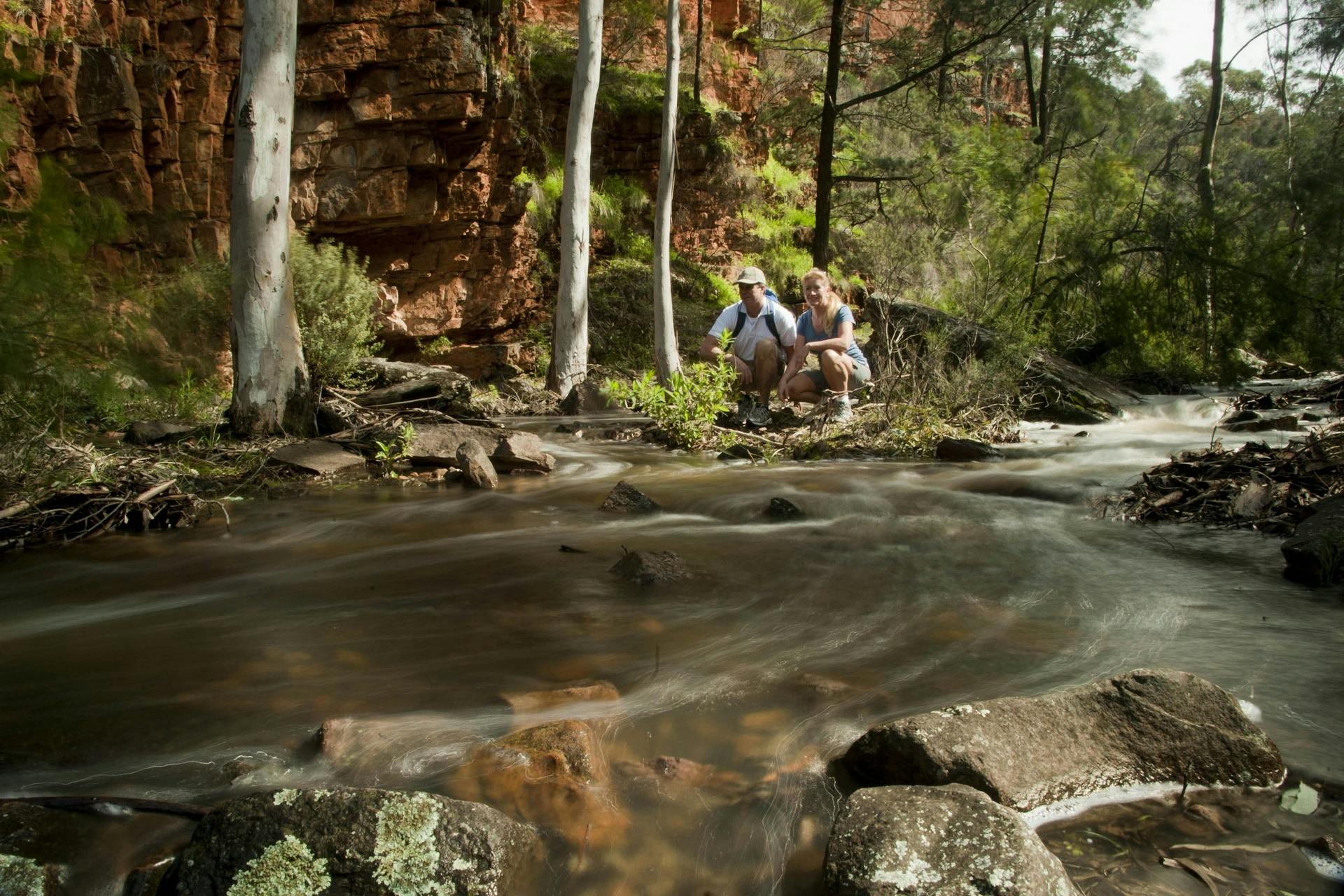 Discover the amazing South Australian outback
