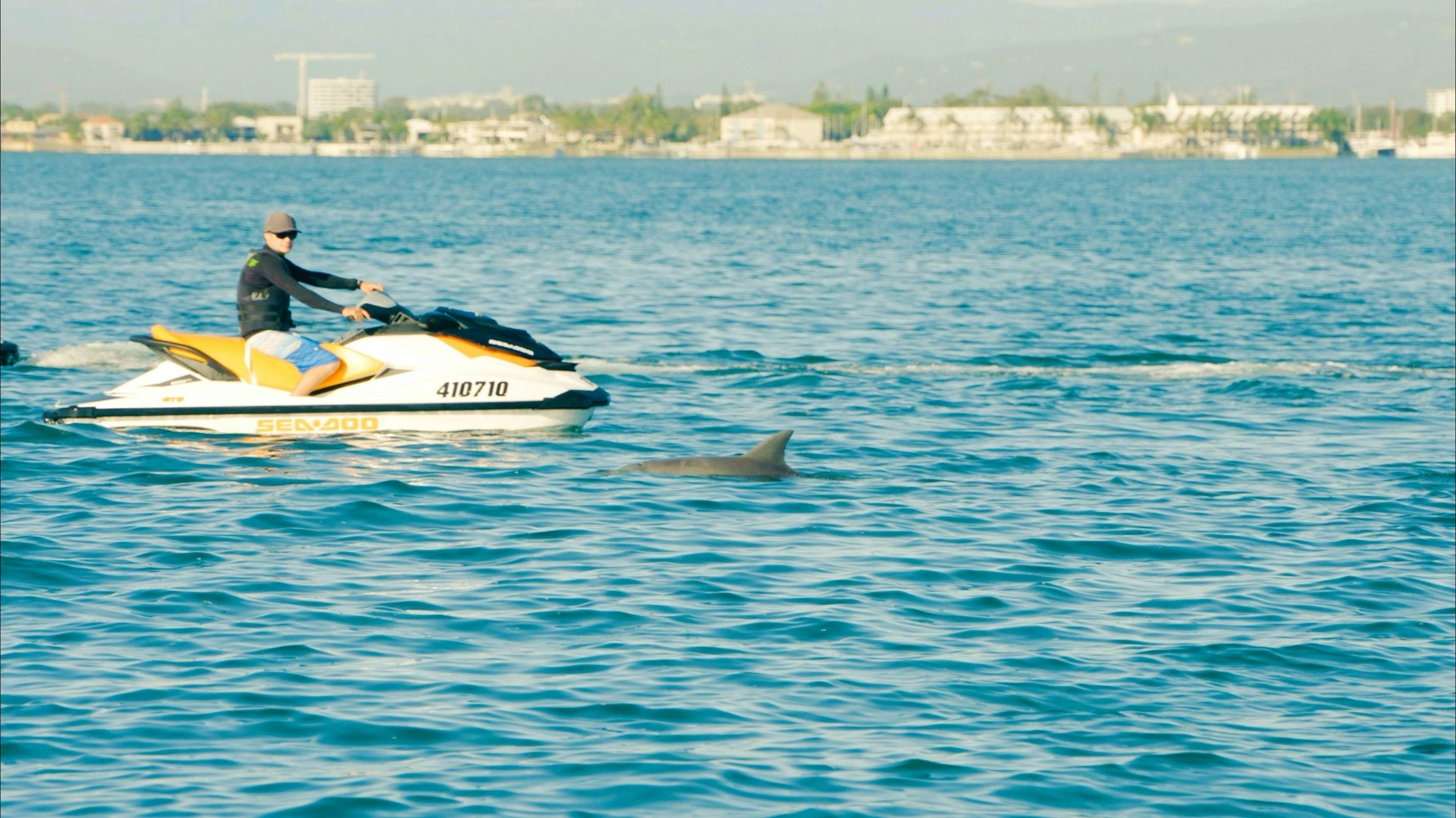 Jet Ski Safaris Gold Coast
