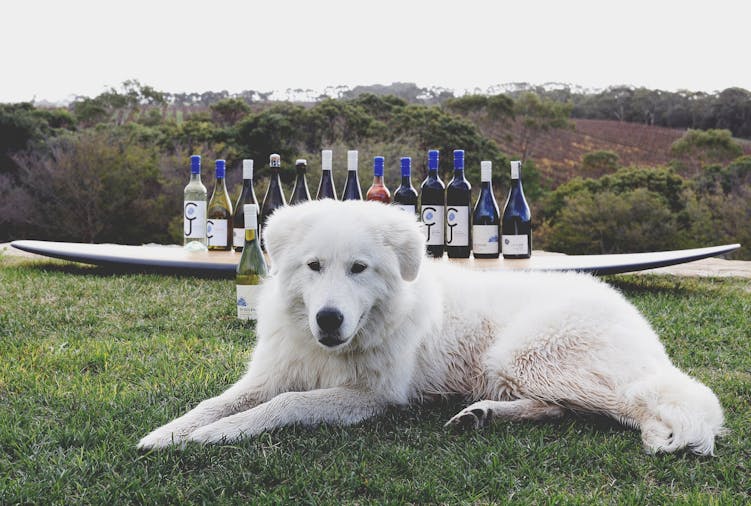 Cape Jaffa Wines