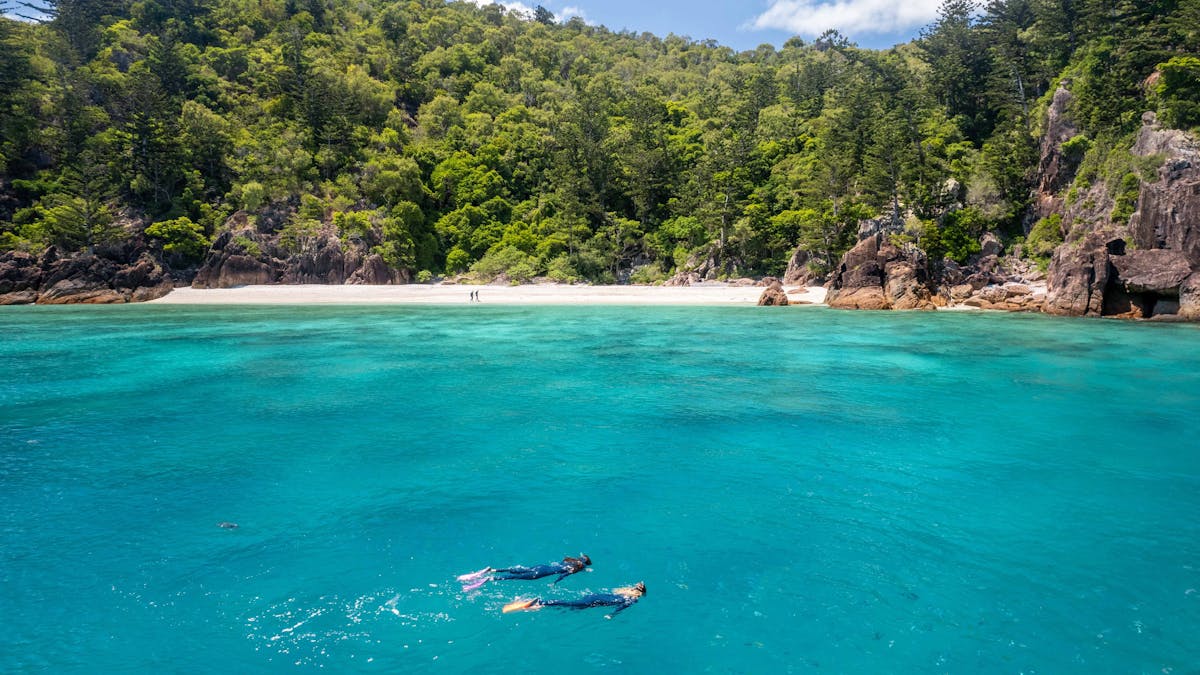 Snorkelling the Whitsunday Islands