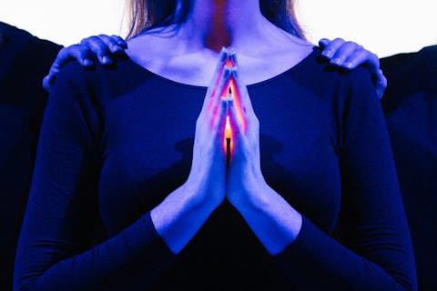 Whalebone 21 fa6f7818430d415c1569bd3e2e7998ae