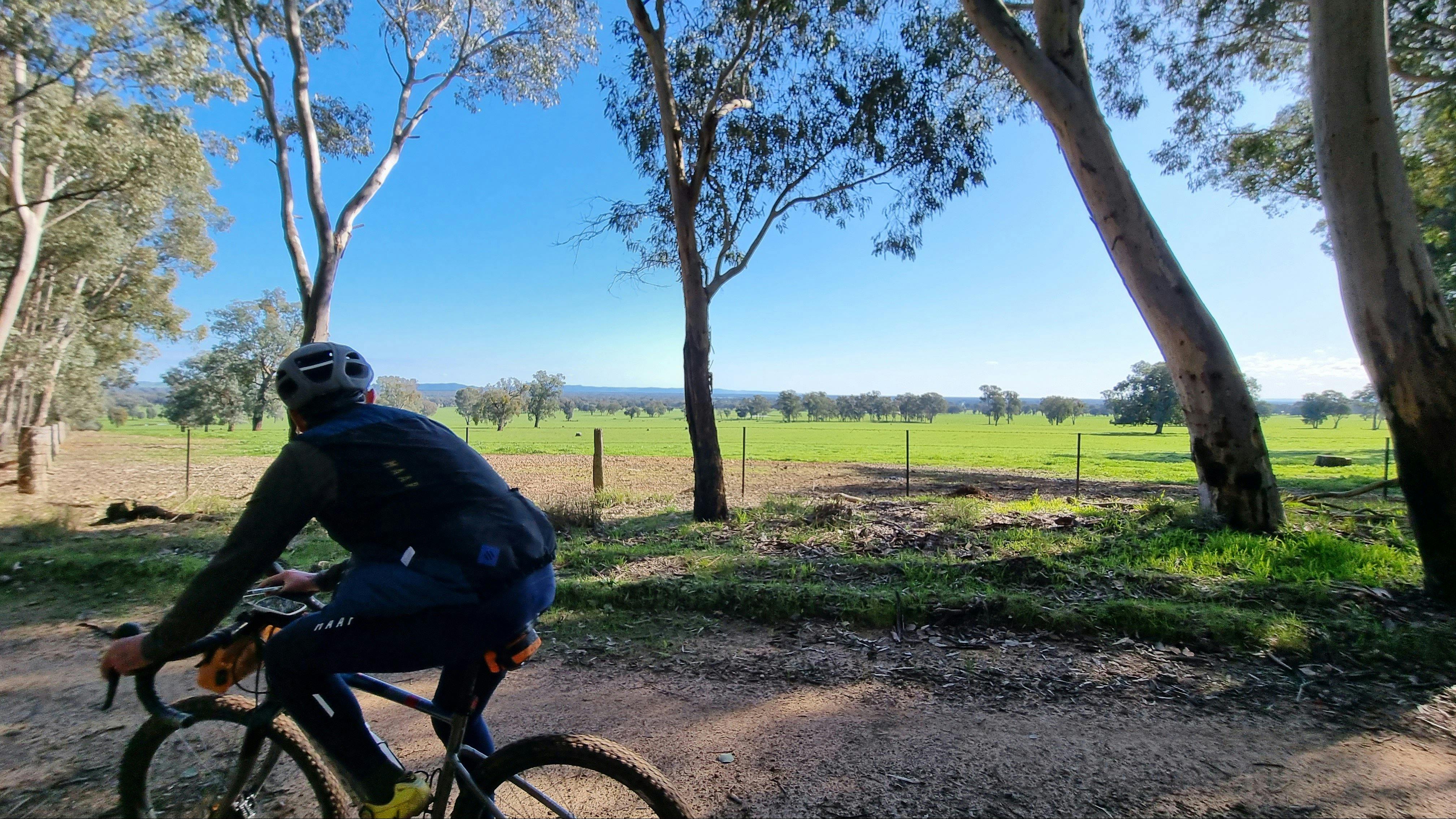 Cyclist on Gravel Road looking out over farming countryside, trees, pasture, blue sky