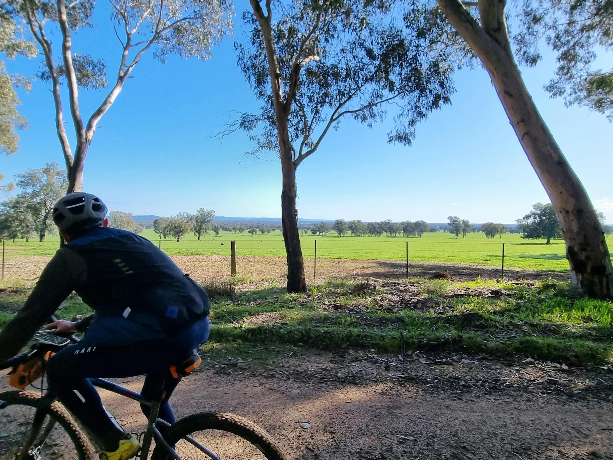 Cyclist on Gravel Road looking out over farming countryside, trees, pasture, blue sky