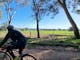Cyclist on Gravel Road looking out over farming countryside, trees, pasture, blue sky