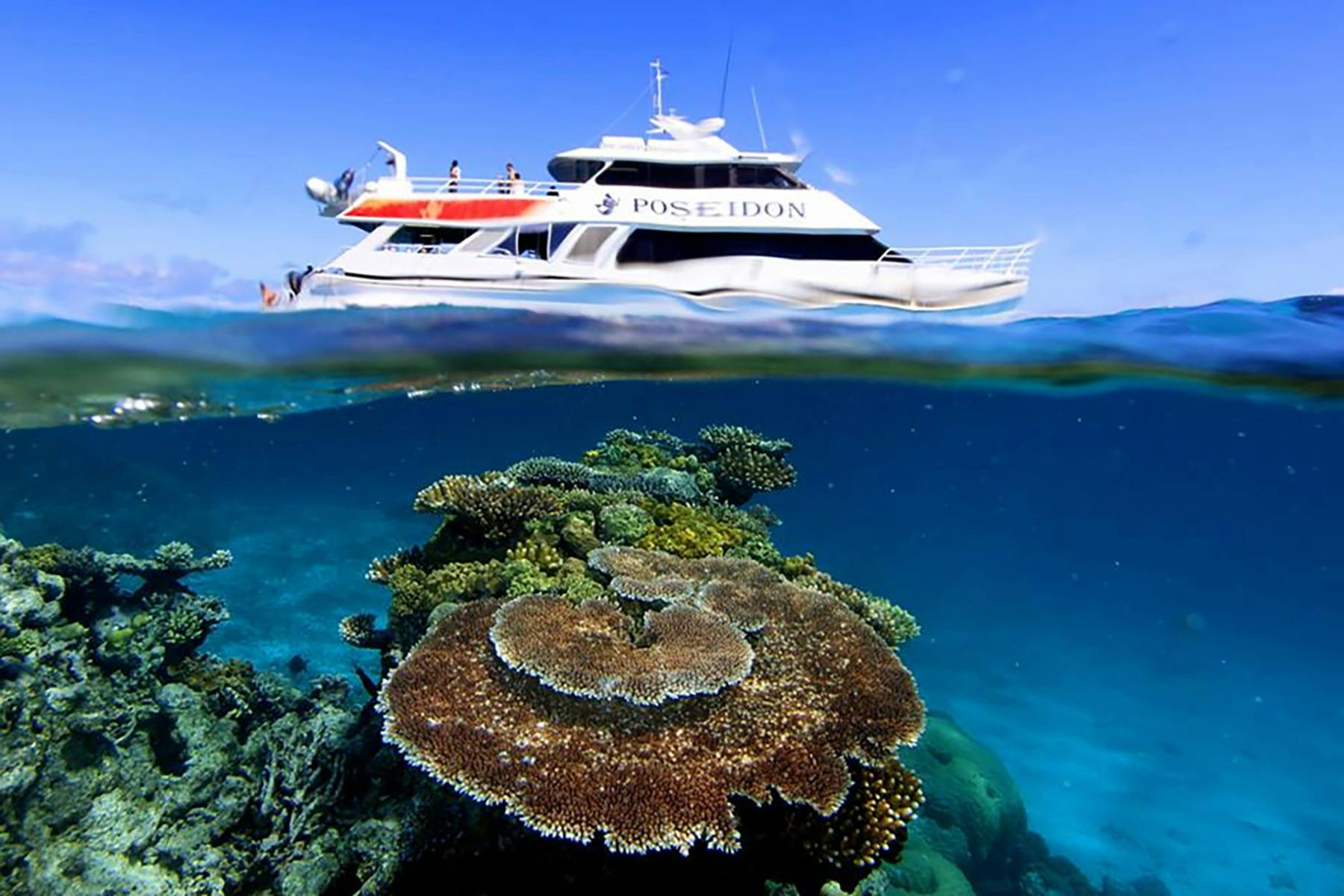 vessel over corals