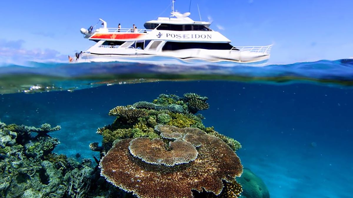 vessel over corals