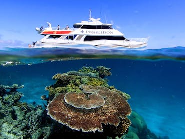 vessel over corals