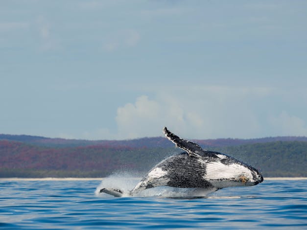 Hervey Bay