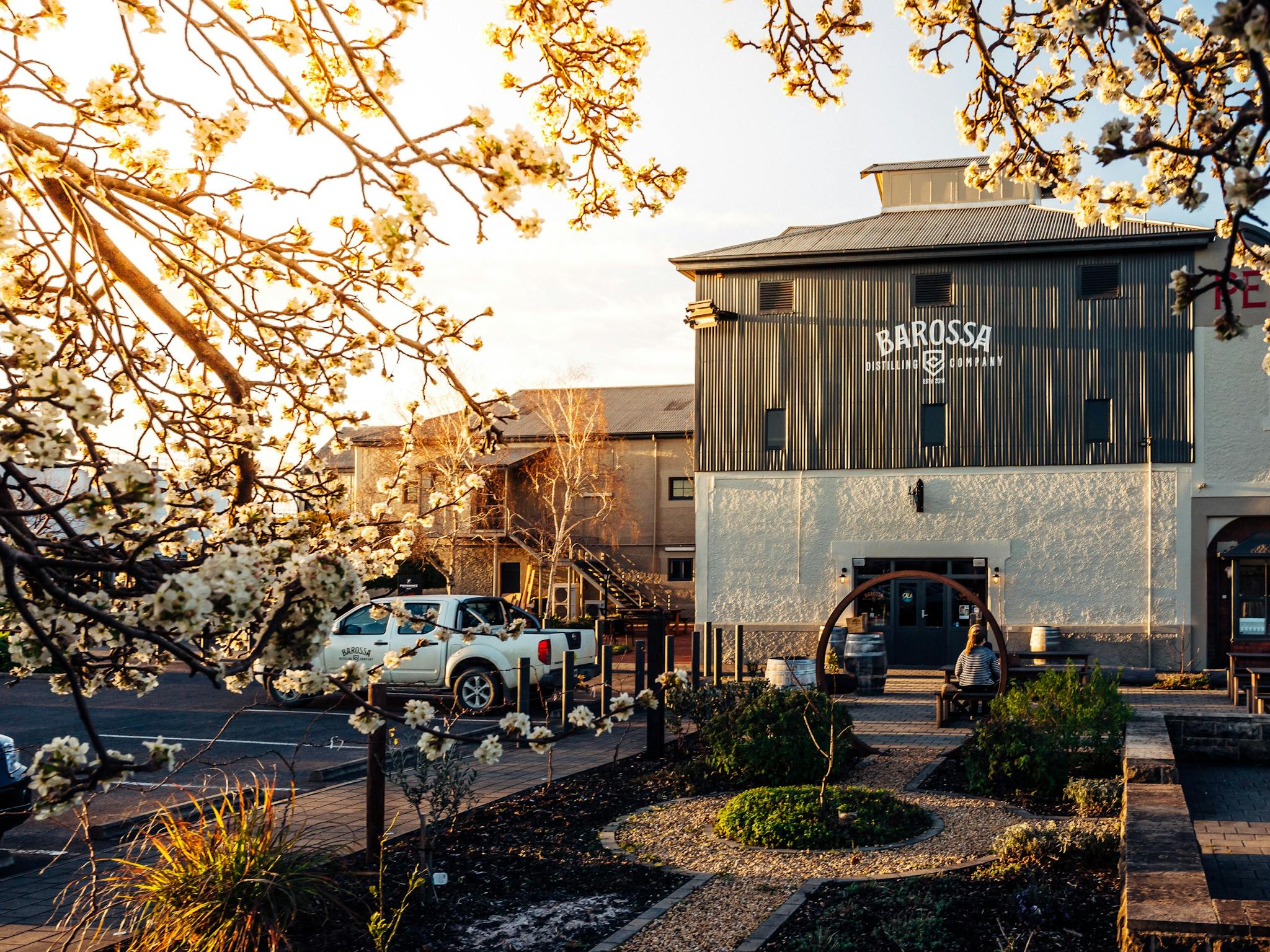 Outside photo of The Distillery Bar from teh botanical garden with the sunshine shining through tree