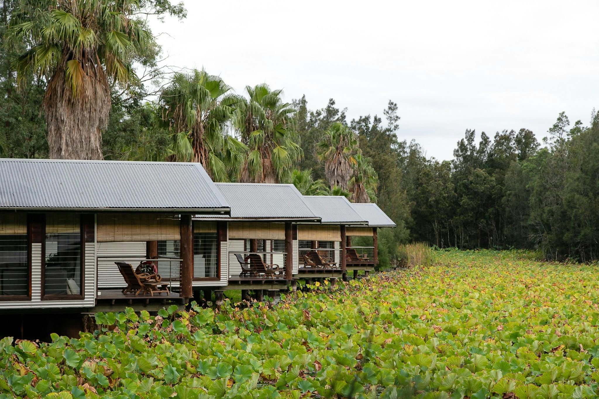 The Boathouses at Leaves and Fishes