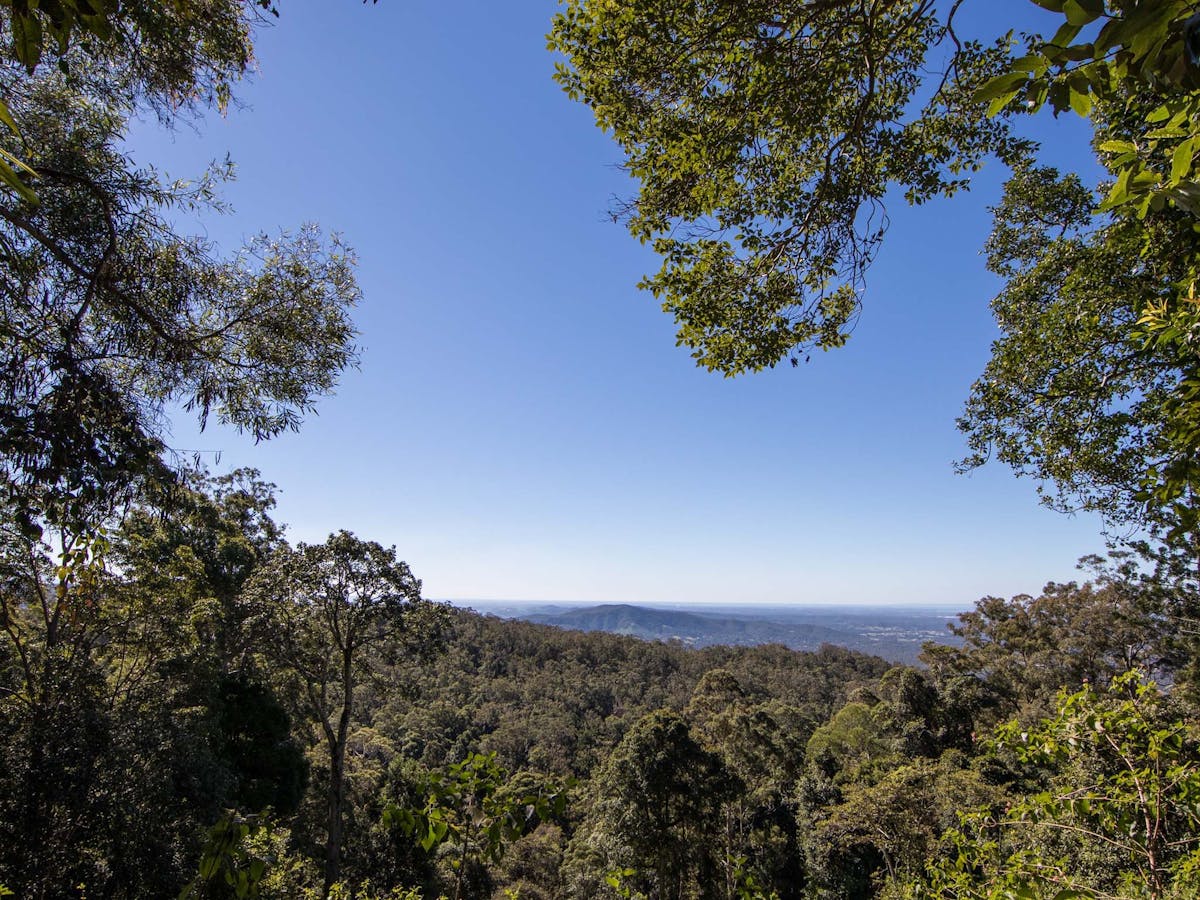 Views of blue skies and Samford from Thylogale Track, Mt Nebo