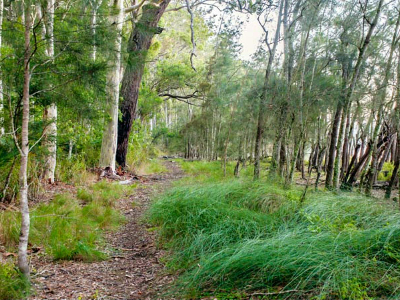 Meroo Meroo Lake walking track | NSW Holidays & Accommodation, Things to Do ...