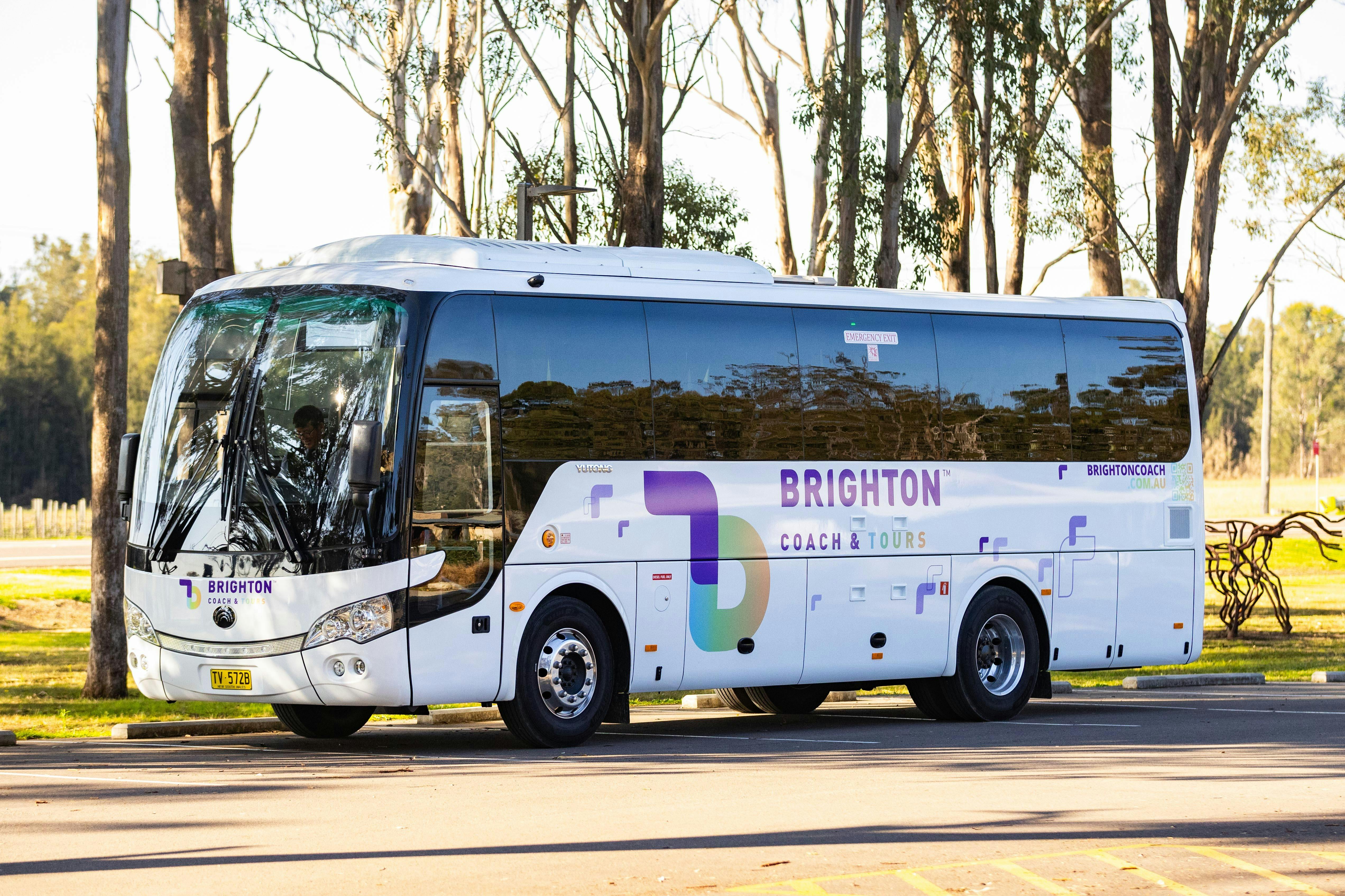Brighton Coach and Tours Bus