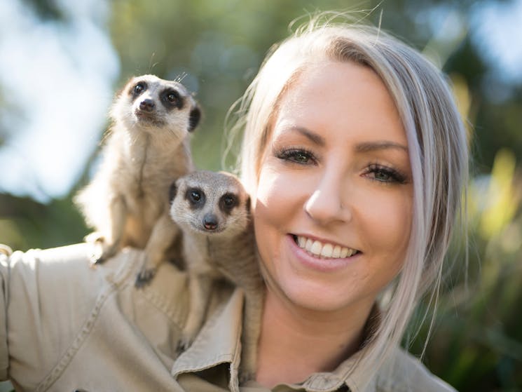 Get behind the scenes for the ultimate Meerkat experience as you feed, play and interact with them