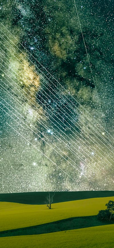 Satellite Trails, Canola fields and Milky Way