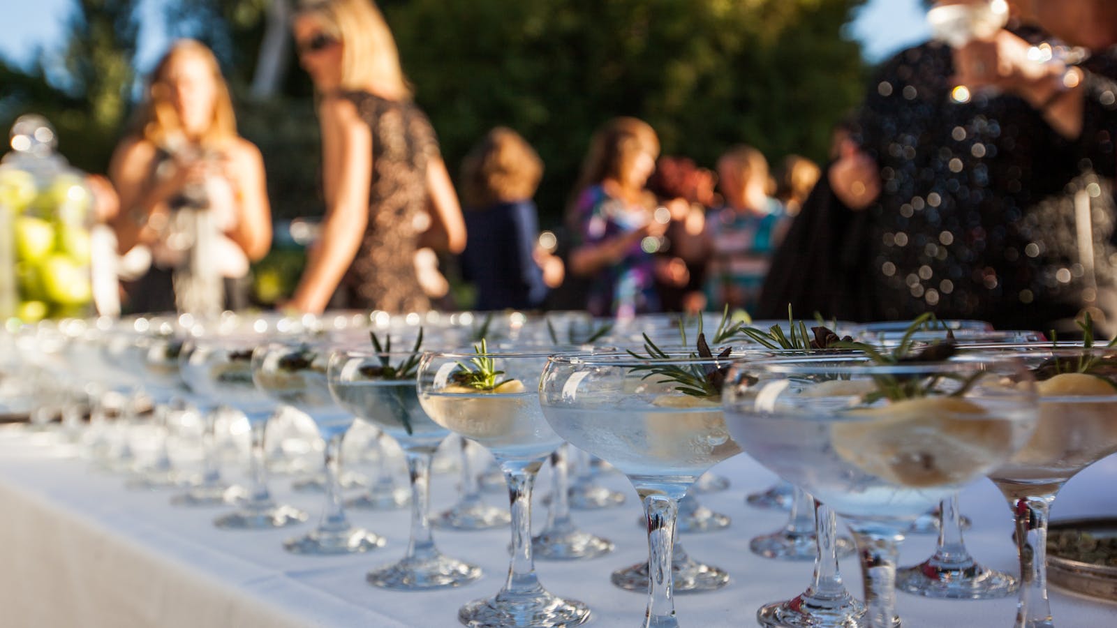 Gin Cocktails at Variety of Gins