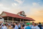 Wagga Gold Cup
