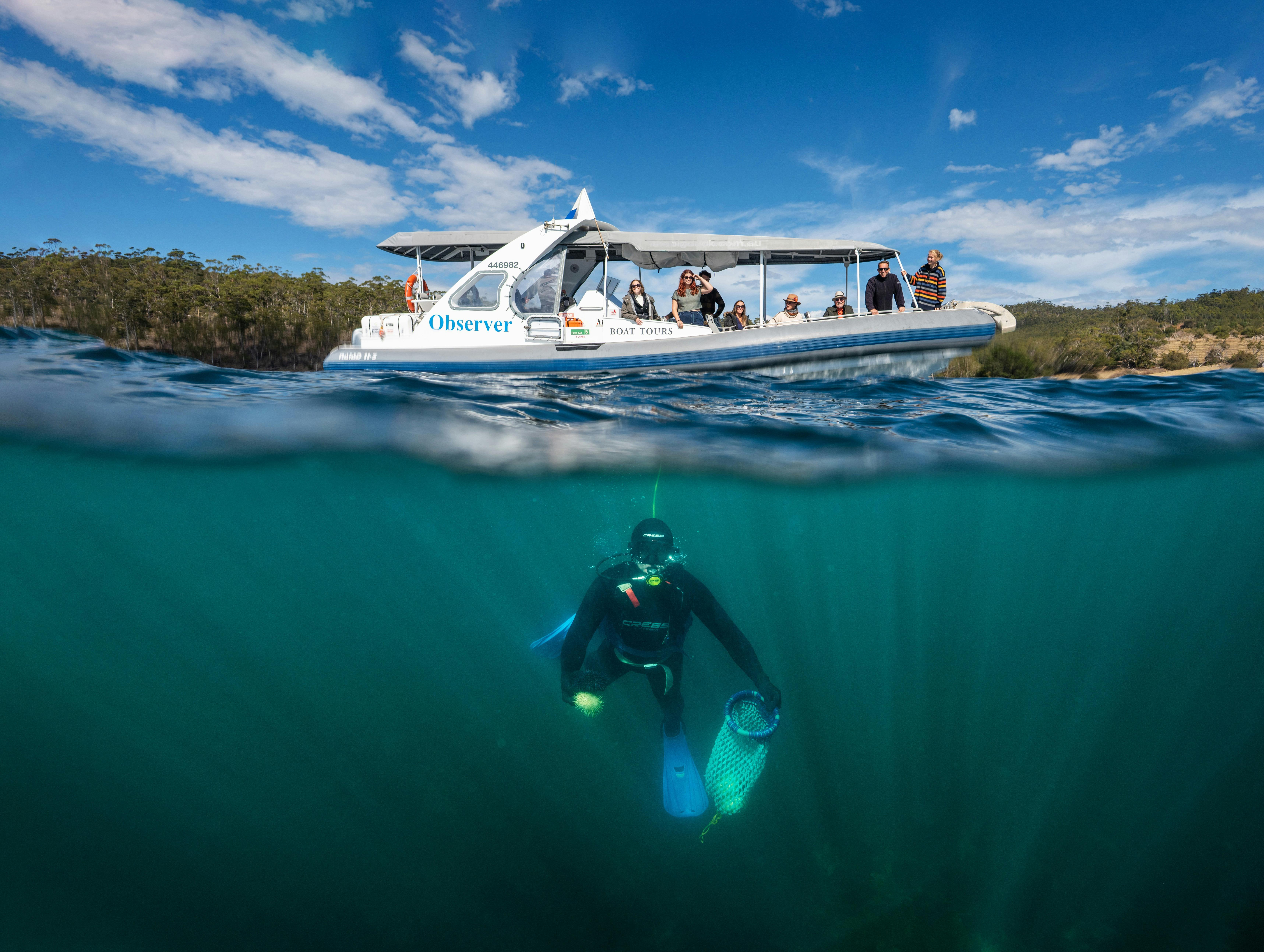 Diver is under the vessel with a catch bag, passengers have VR goggles on seeing underwater