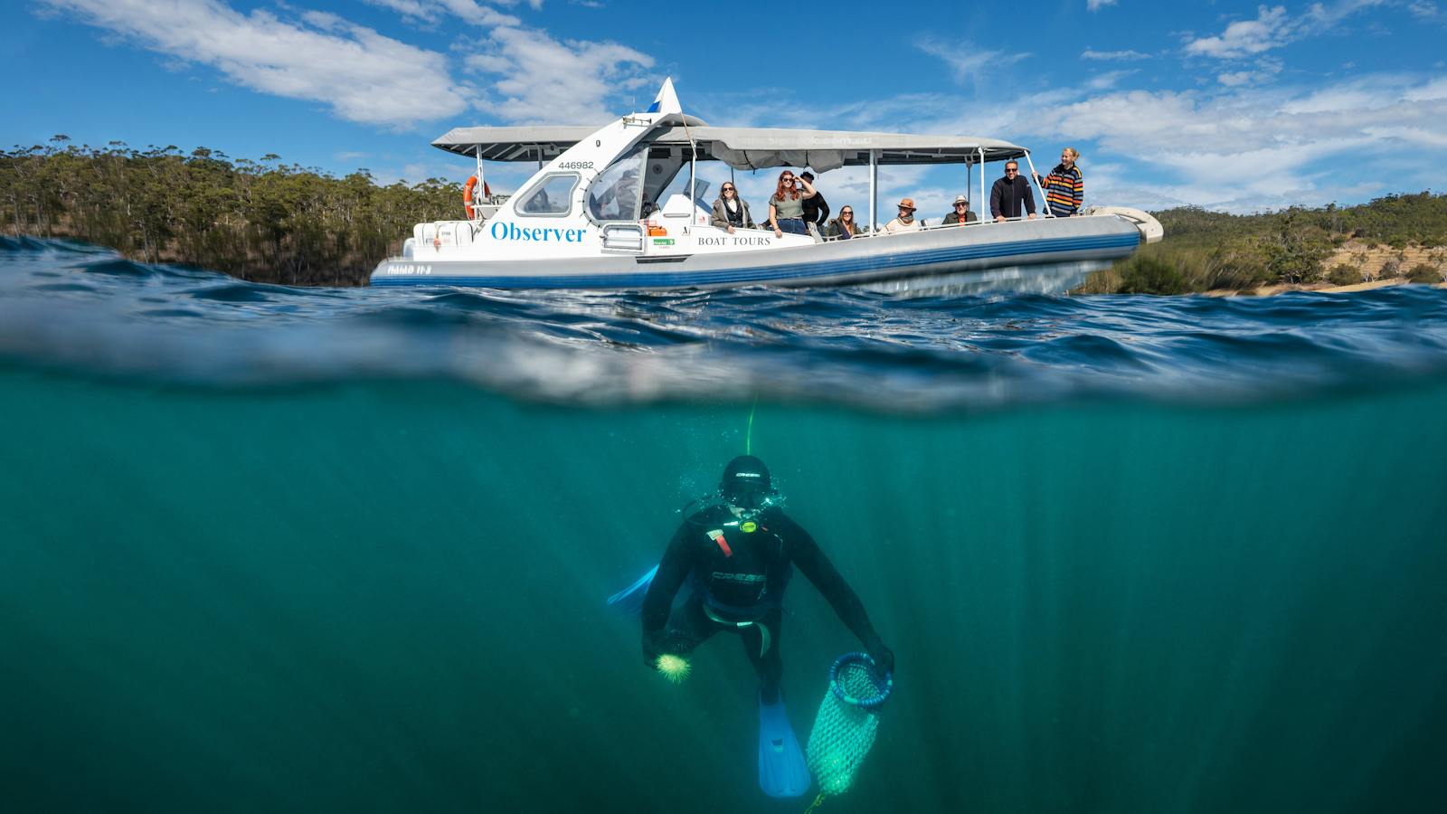 Diver Reality Experience