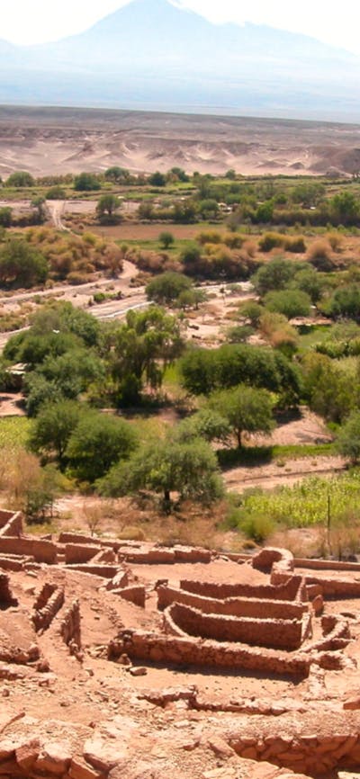 A photography of a desert