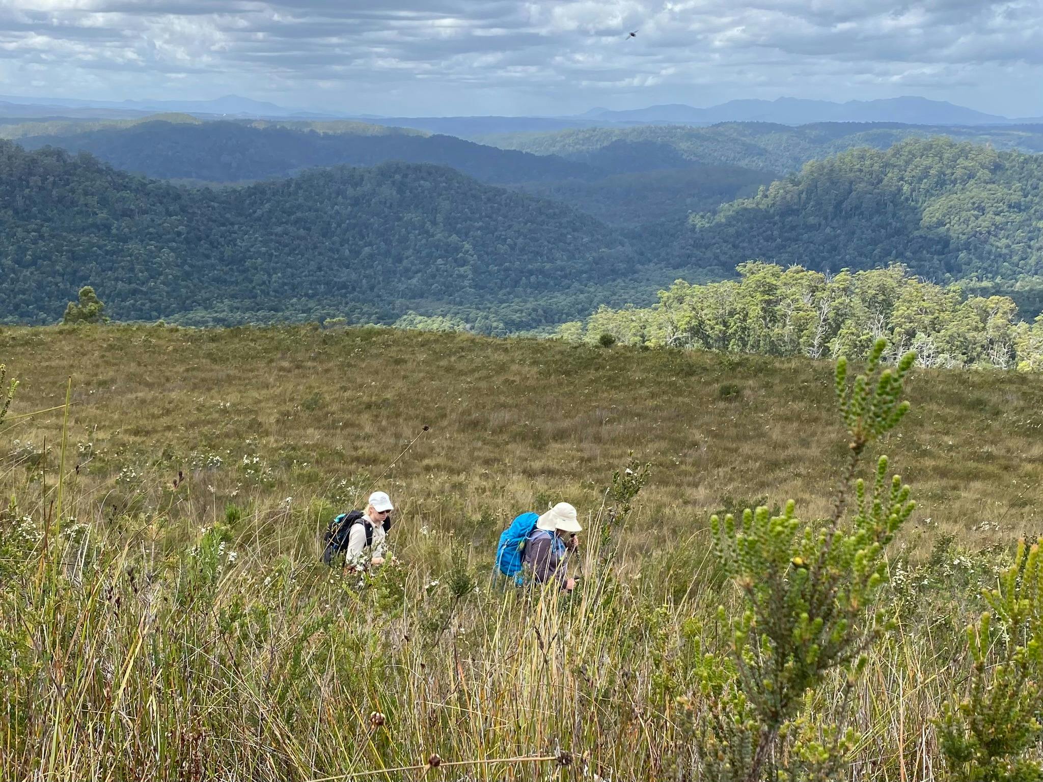 The Tarkine Explorer 19th - 25th January 2025