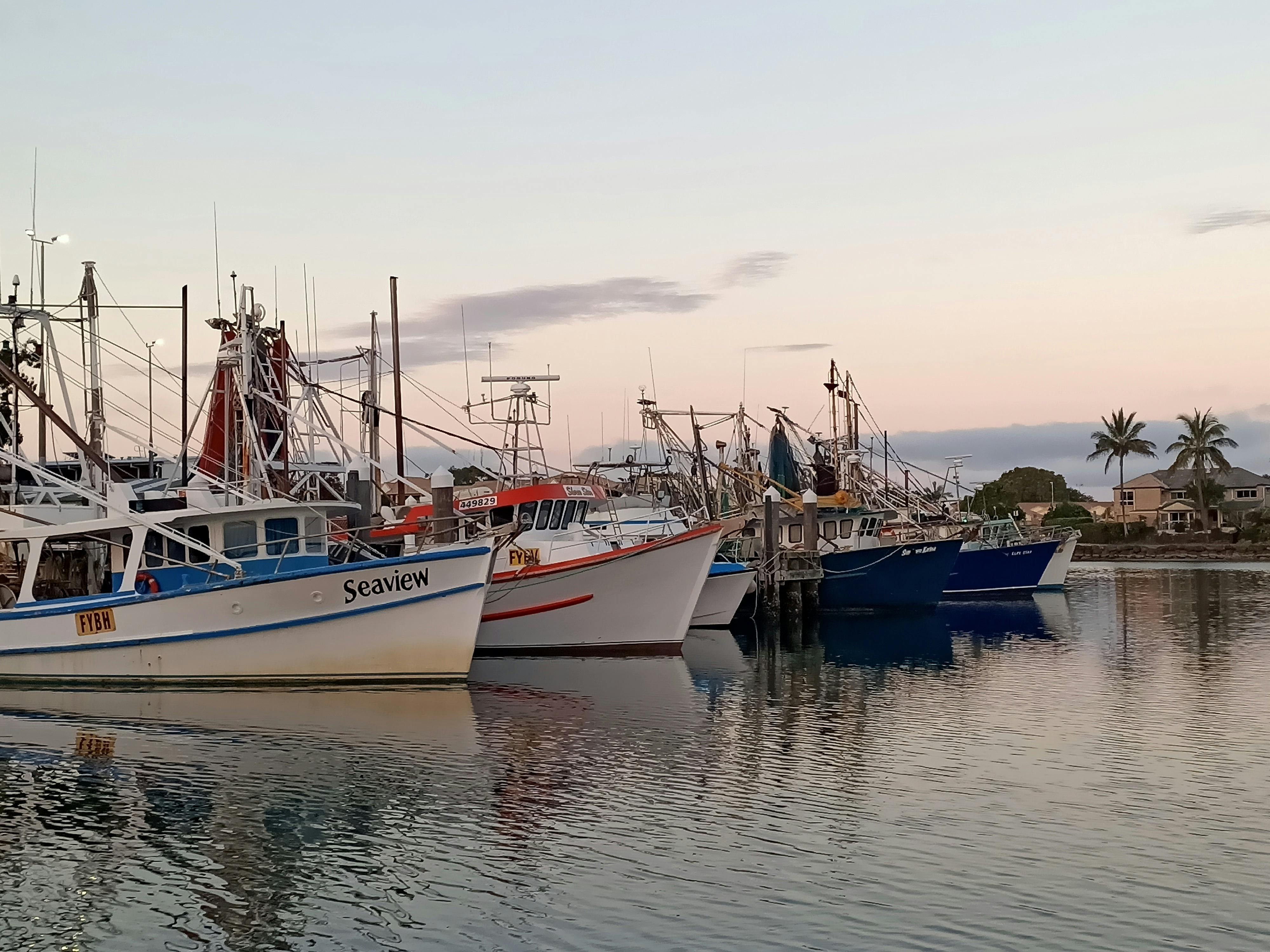 Seafood lunch included in your Cruise with Tweed Eco River  Cruises