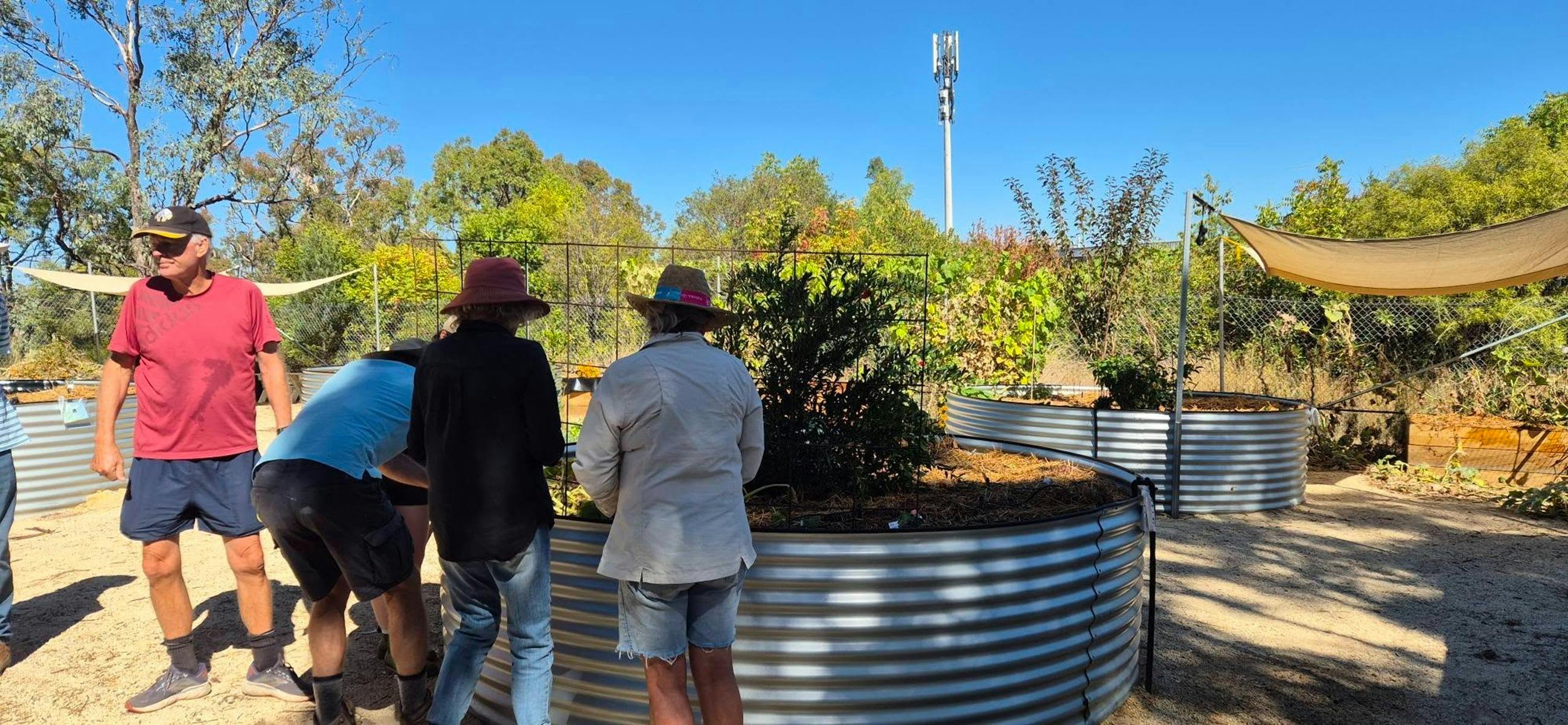 Tamworth Community Garden