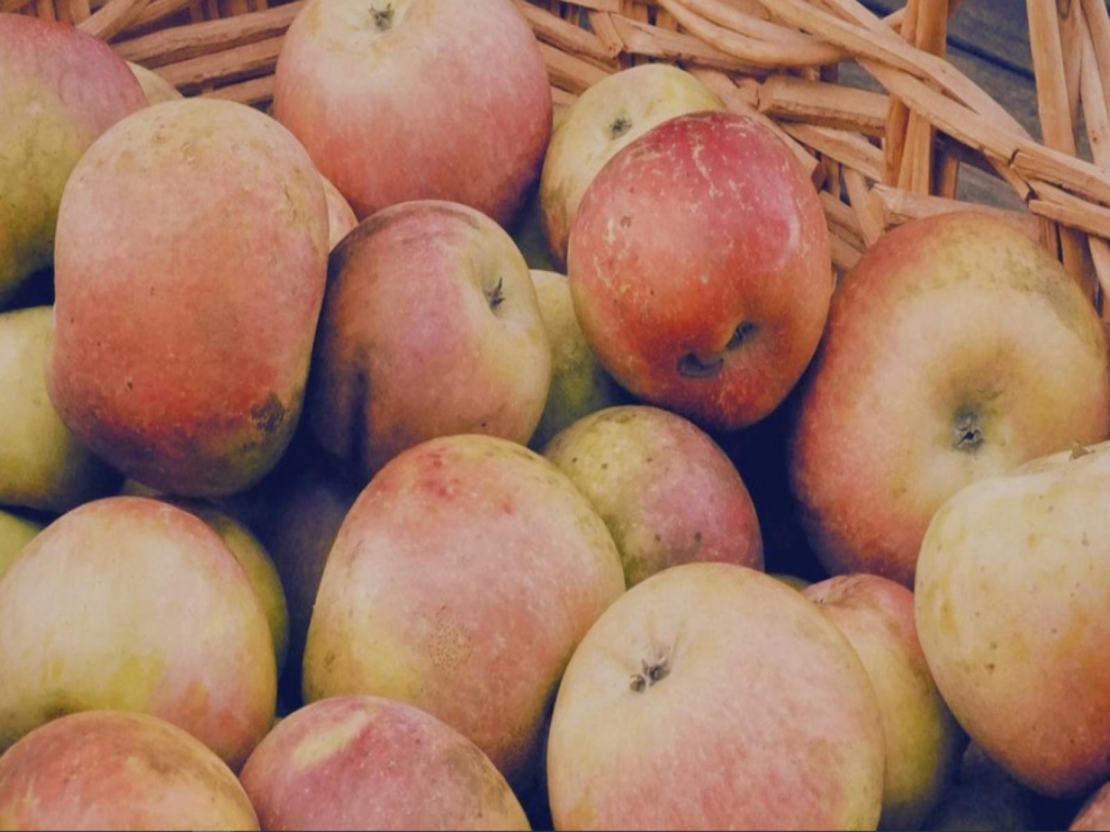 Permaculture Produce