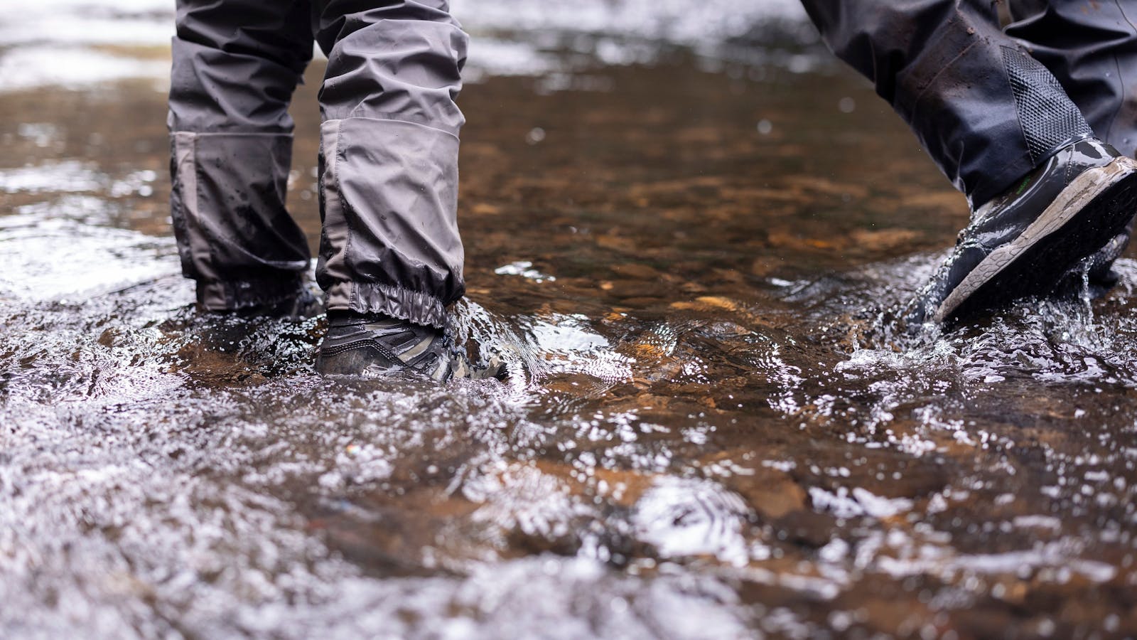 Riverfly 1864