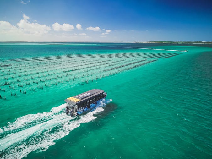Experience Coffin Bay and Eyre Peninsula Forage and Feast