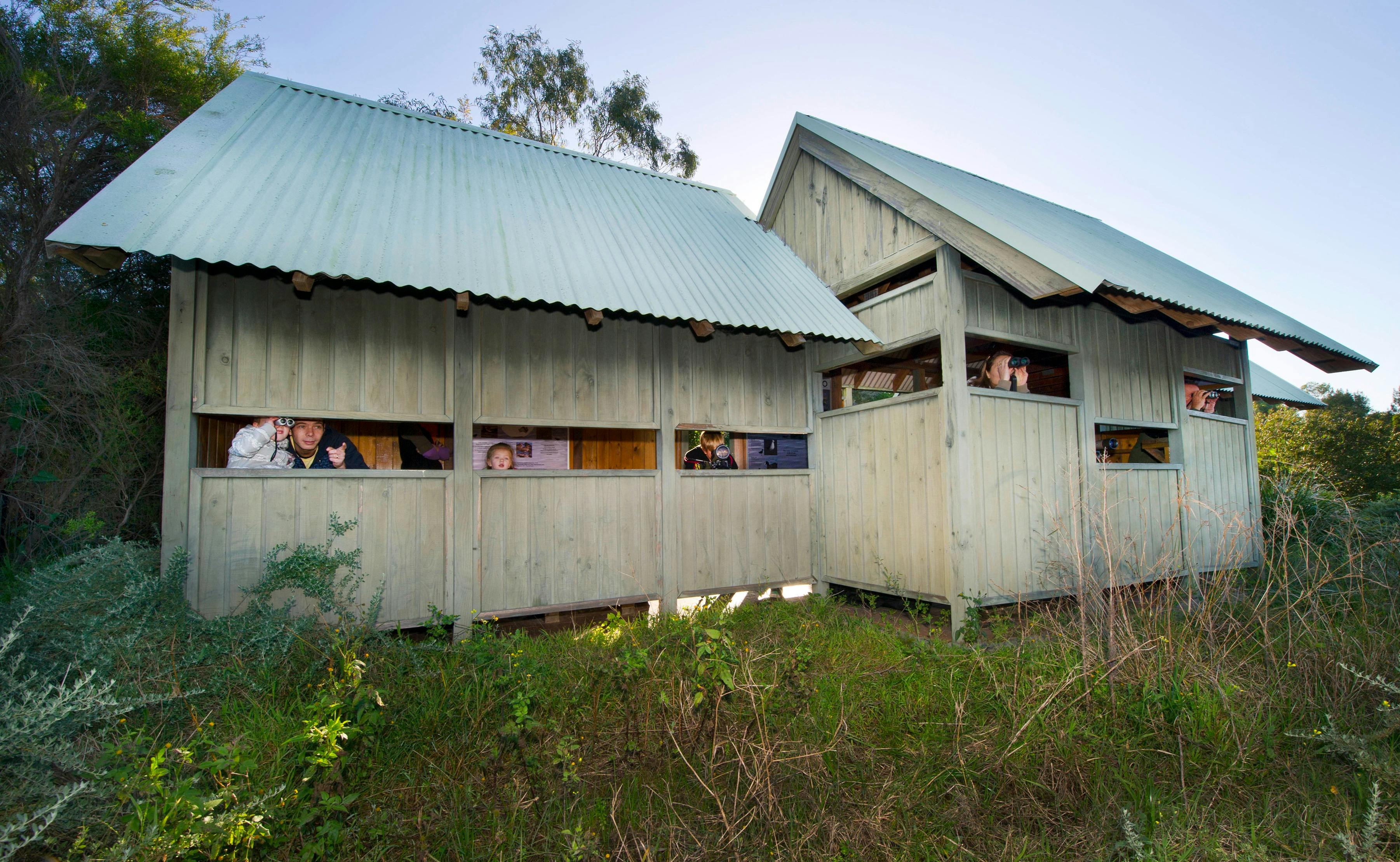 Waterbird Refuge Bird Hide