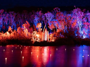 Illumina light show at Kingfisher Bay Resort, K'gari (Fraser Island)